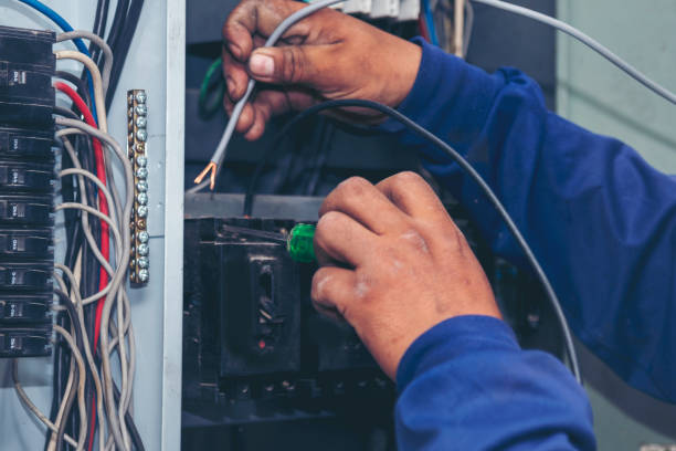 Best Electrical System Inspection  in Danville, IA